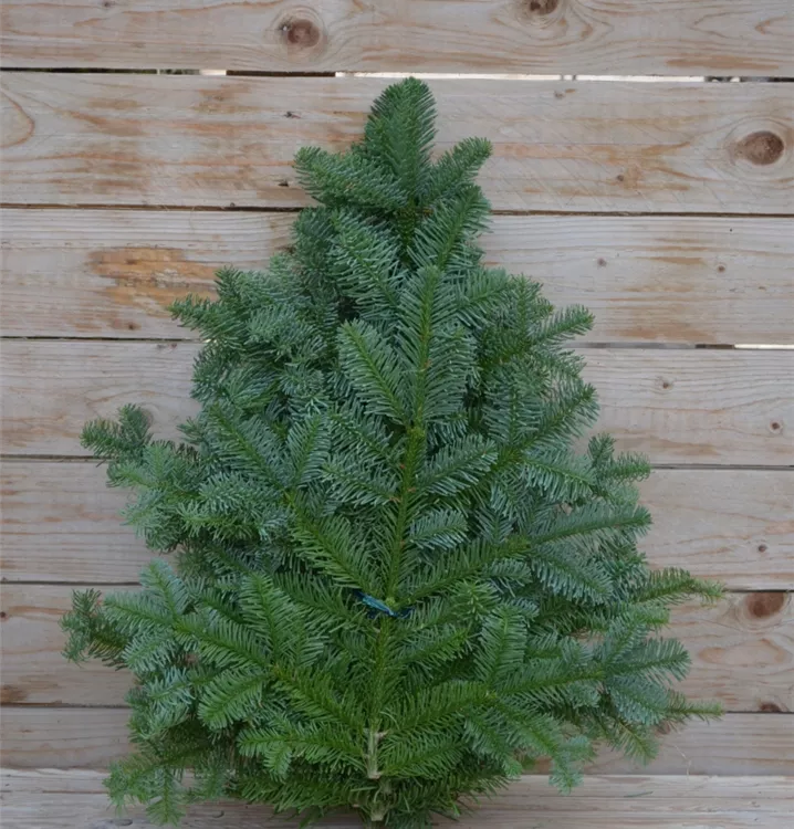 im 1 kg Handbund im 1 kg Handbund