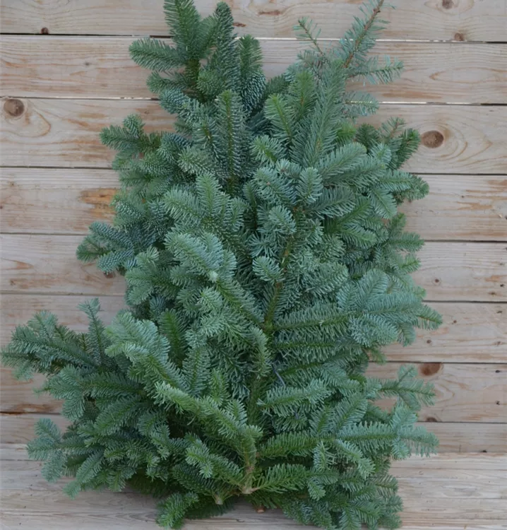 2,5 kg-Großbund 2,5 kg-Großbund