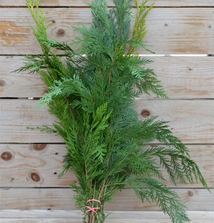 gelbe Farbtöne gelbe Farbtöne