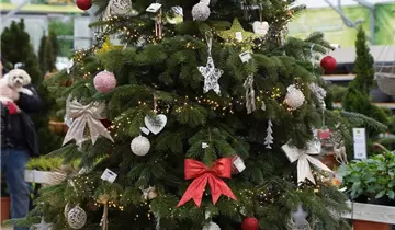 Bildvorschau