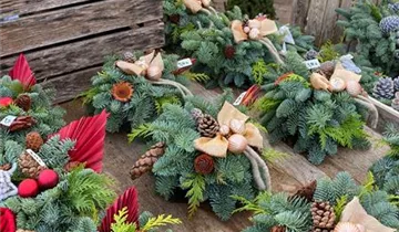 Zum Vergrößern klicken Bildvorschau