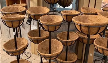 Zum Vergrößern klicken Bildvorschau