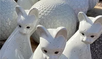 Zum Vergrößern klicken Bildvorschau