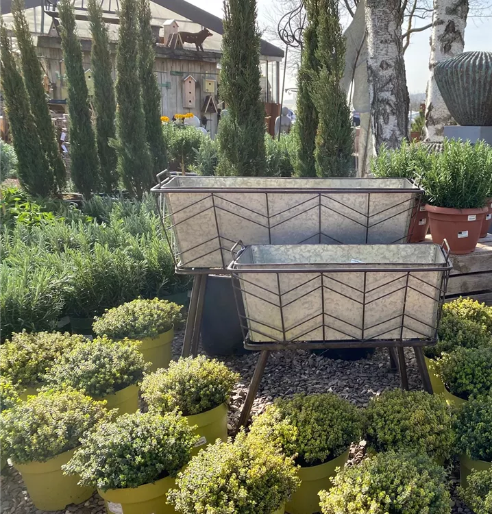 italienische Kräuter italienische Kräuter