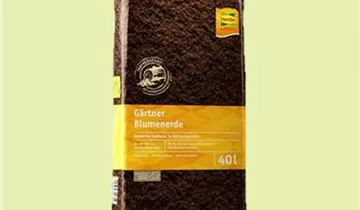 Zum Vergrößern klicken Bildvorschau