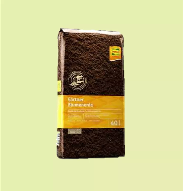 von Stender von Stender