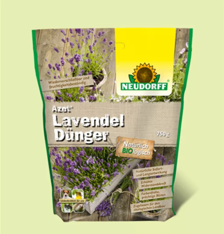 von Neudorff von Neudorff