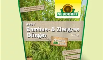 Zum Vergrößern klicken Bildvorschau