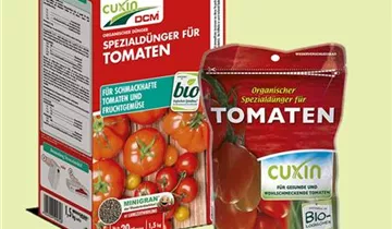 Zum Vergrößern klicken Bildvorschau