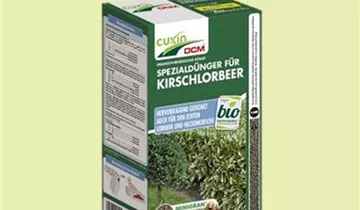 Zum Vergrößern klicken Bildvorschau