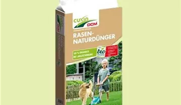 Zum Vergrößern klicken Bildvorschau