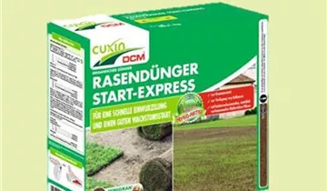 Zum Vergrößern klicken Bildvorschau