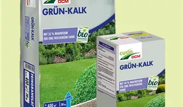 Zum Vergrößern klicken Bildvorschau