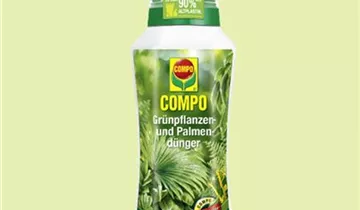 Zum Vergrößern klicken Bildvorschau