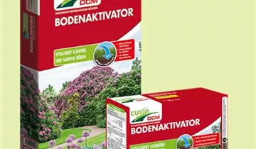 Zum Vergrößern klicken Bildvorschau