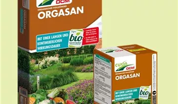 Zum Vergrößern klicken Bildvorschau