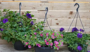 Zum Vergrößern klicken Bildvorschau