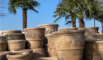 Zum Vergrößern klicken Bildvorschau