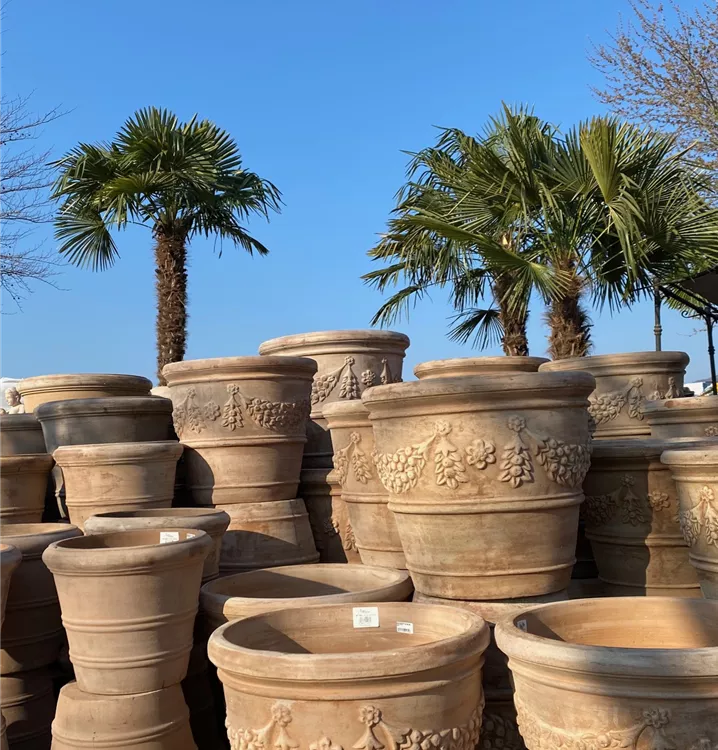 mit Ornament mit Ornament