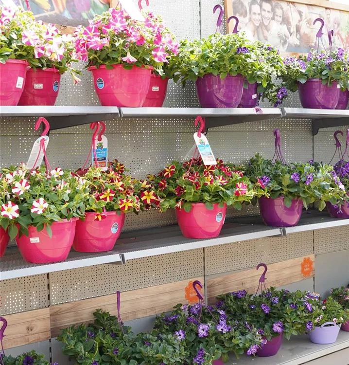 farbenfroh bepflanzt farbenfroh bepflanzt