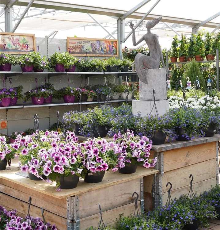 fertig bepflanzt fertig bepflanzt