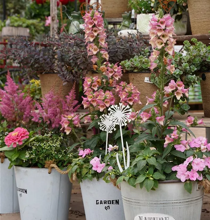 bepflanzte Gefäße bepflanzte Gefäße