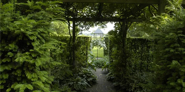 Garten easy going – so wird der Garten pflegeleicht