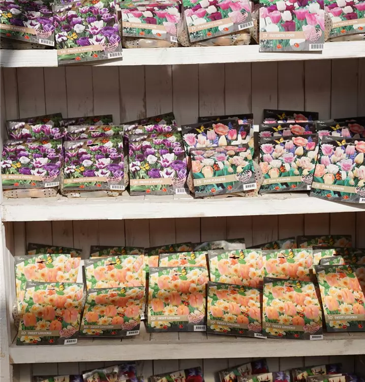 Zwiebelpflanzenmischung