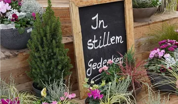 Zum Vergrößern klicken Bildvorschau