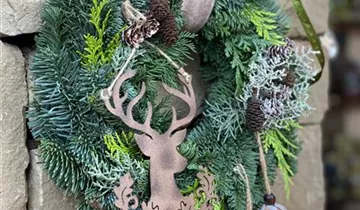 Zum Vergrößern klicken Bildvorschau