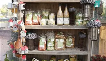 Zum Vergrößern klicken Bildvorschau