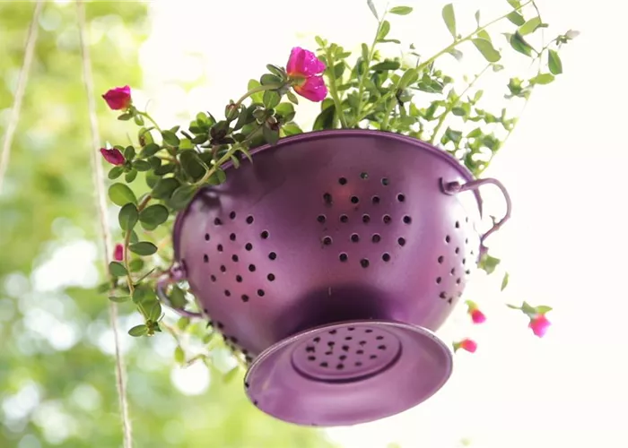 Alte Nudelsiebe als Pflanzgefäße Alte Nudelsiebe als Pflanzgefäße