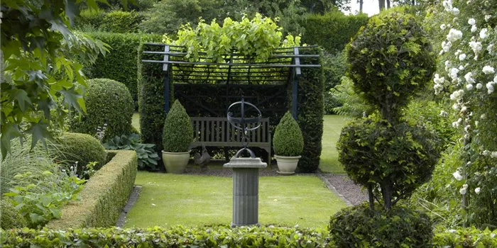 Auf die Form gekommen – Formgehölze im Garten