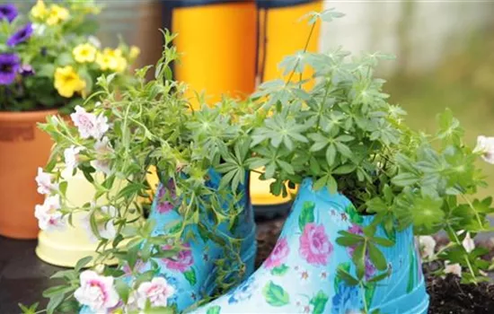 Gummistiefel als Pflanzgefäße Gummistiefel als Pflanzgefäße