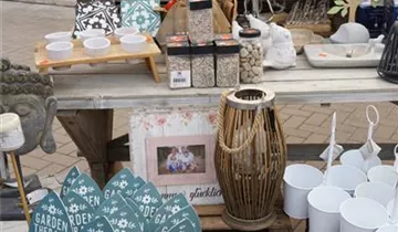 Zum Vergrößern klicken Bildvorschau