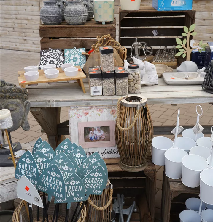 Einzelstücke stark reduziert Einzelstücke stark reduziert