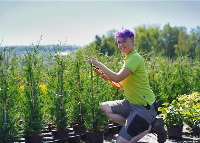 Ausbildung & Praktikum Ausbildung & Praktikum