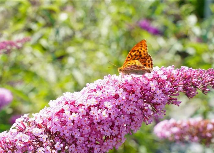 Regionalität & Nachhaltigkeit Regionalität & Nachhaltigkeit