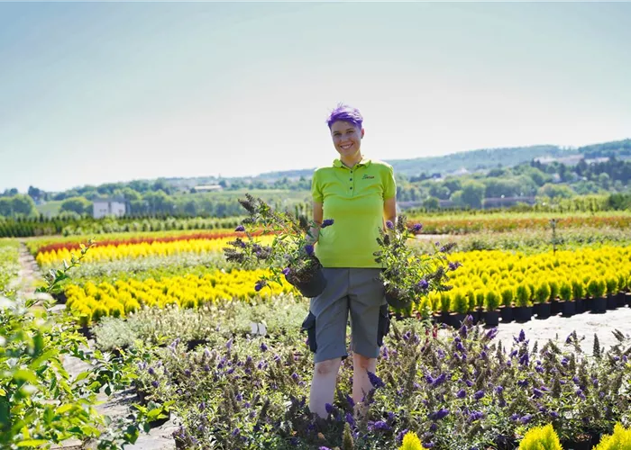 Jobs & Karriere Jobs & Karriere