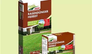 Zum Vergrößern klicken Bildvorschau