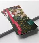 Zum Vergrößern klicken Bildvorschau