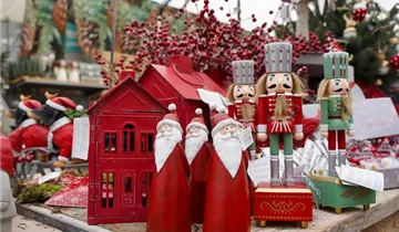 Zum Vergrößern klicken Bildvorschau