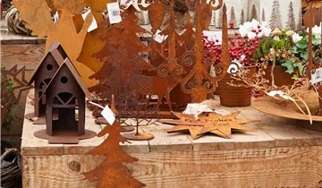 Zum Vergrößern klicken Bildvorschau