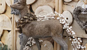 Zum Vergrößern klicken Bildvorschau