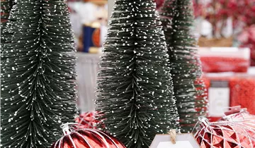 Zum Vergrößern klicken Bildvorschau