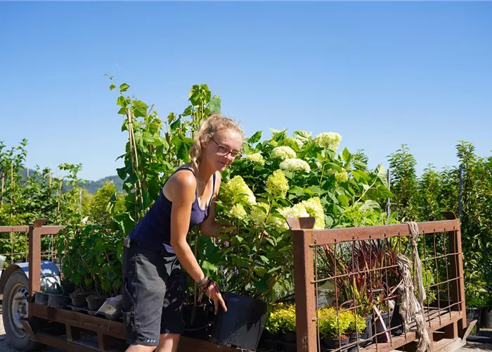 Gärtner Versandabwicklung (m/w/d) Gärtner Versandabwicklung (m/w/d)