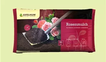 Zum Vergrößern klicken Bildvorschau