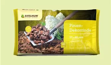 Zum Vergrößern klicken Bildvorschau