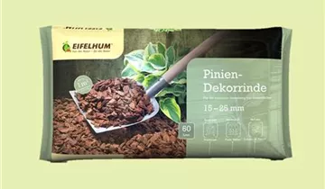 Zum Vergrößern klicken Bildvorschau