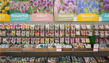 Zum Vergrößern klicken Bildvorschau